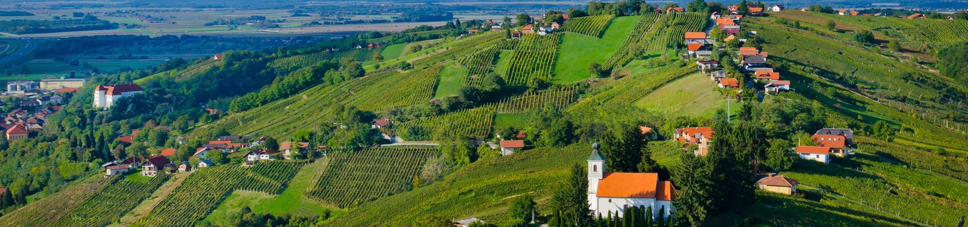 A VINARIUM szórt szobás szálloda