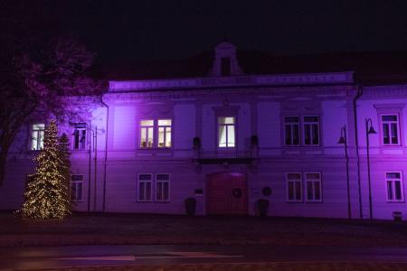 Mestna hiša. Foto: Tomaž Galič