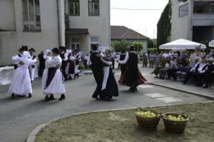 Ob tednu ljubiteljske kulture
