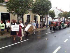 Lendavska trgatev 2014 - povorka