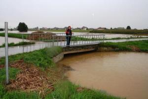 Poplave in narasle vode