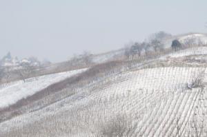 Decembrska idila