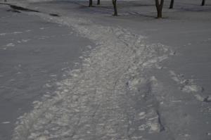 Decembrska idila