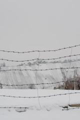 Decembrska idila