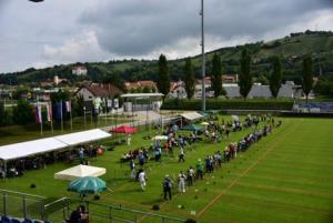      Lokostrelski pokal