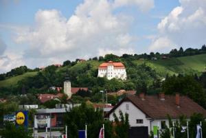      Lokostrelski pokal