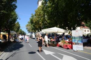Bogračfest 2015
