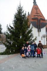 Krašenje smrek