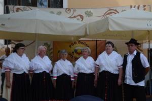 90 let PGD Dolina
