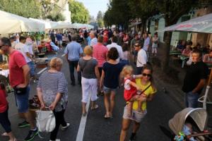 Bogračfest 2016