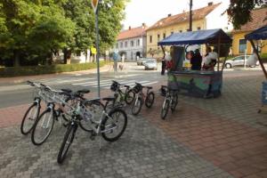 Evropski teden mobilnosti