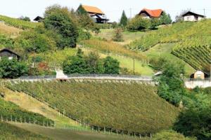 Lendava skozi foto objektiv