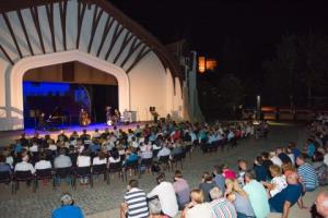 Strokovni posvet in koncert na letnem odru