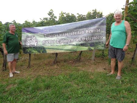 236888870_1981746145309409_4486305464714858866_n