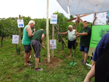 237646682_1981746338642723_2038481540287790700_n