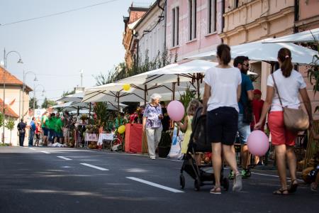 Bogracijada_220827_BW0367