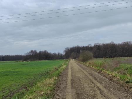 IMG-db1db2b98d9de2d94c4bcf1484d808ec-V