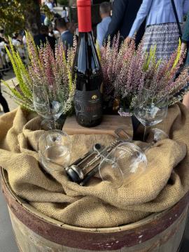 460714671_537656338771173_7646883133756863129_n