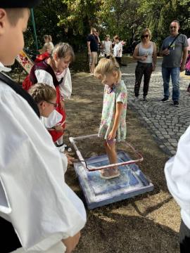 460732598_537656725437801_4773222340503209768_n