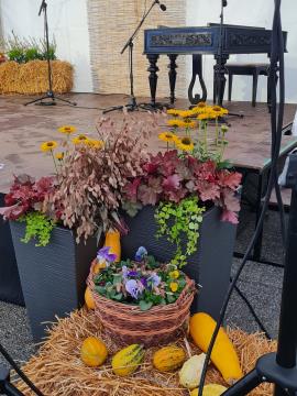 461922337_2059110098243692_8851928767085896573_n