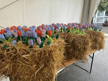 461517488_1708881003241325_1102931332476417096_n