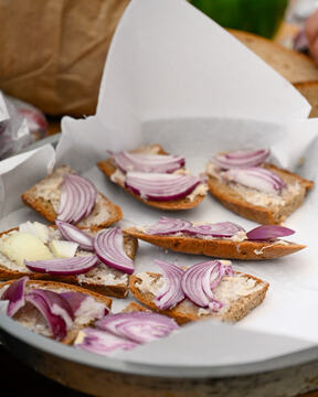 495722855_1261078326018167_2981099056621532362_n