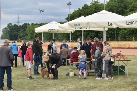 499607260_705870225283116_3316013214022404504_n