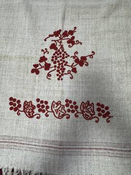 505741292_1897138244415599_5219633397635891863_n