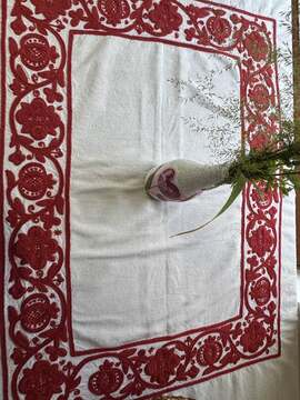 506638633_1896428477819909_8377648238268491644_n