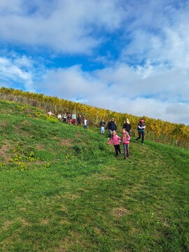 571132808_122272847528026583_1820911211343210805_n