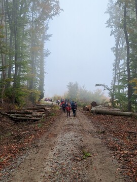 571222796_122272847288026583_7882825606451334907_n