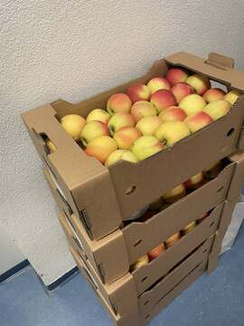 585803031_852972077239596_2917369474006724364_n