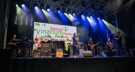 IMG_6654